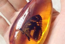 『厄除け・厄払い・魔除け・お守りに効果的なパワーストーン4選』体験談 まとめ